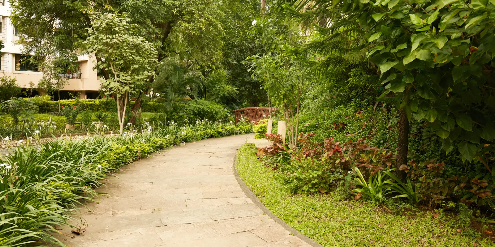 landscaped garden